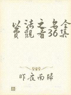 以法之名全集免费观看36集封面