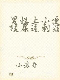 男性上小便的时候尿道刺痛有血是怎么回事