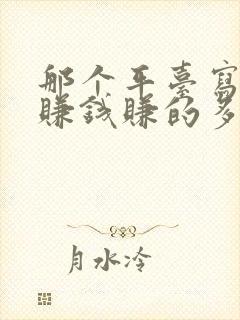 那个平台写小说赚钱赚的多