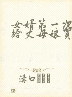 女婿第一次上门给丈母娘买啥