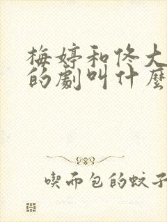 梅婷和佟大为演的剧叫什么