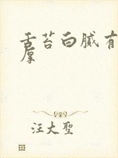 舌苔白腻有齿痕厚