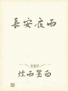 长安夜雨封面