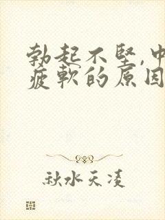 勃起不坚,中途疲软的原因