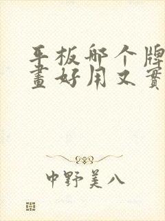 平板哪个牌子画画好用又实惠