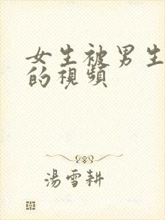 女生被男生操了的视频