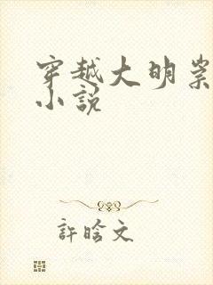 穿越大明崇祯的小说