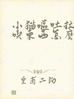 小猫呕吐拉稀不吃东西怎么办