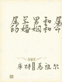 属羊男和属蛇女的婚姻和命运如何封面