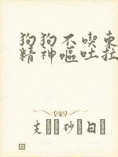 狗狗不吃东西没精神呕吐拉血