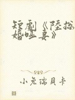 短剧《陆总的新婚哑妻》封面