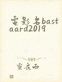 电影名bastaard2019