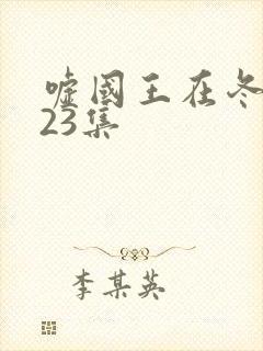 嘘国王在冬眠共23集