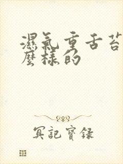 湿气重舌苔是怎么样的