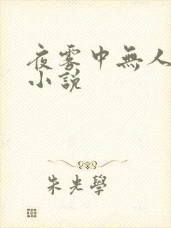 夜雾中无人爱我小说封面