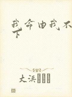 我命由我不由天下封面