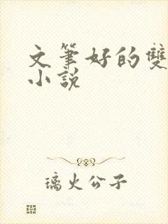 文笔好的双女主小说