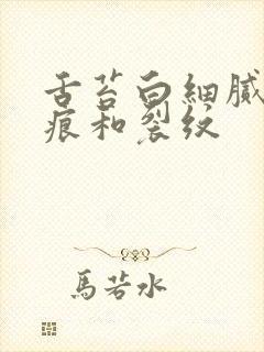 舌苔白细腻有齿痕和裂纹