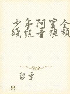 少年阿宾全集在线观看视频