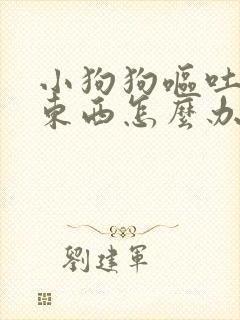 小狗狗呕吐不吃东西怎么办没精神