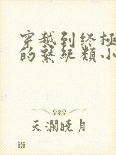 穿越到终极斗罗的系统类小说