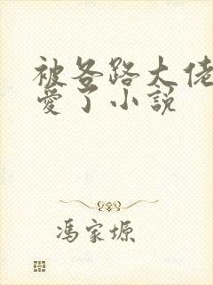 被各路大佬强制爱了小说