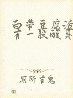 白带豆腐渣状还有一股酸臭味