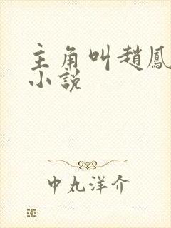 主角叫赵凤生的小说