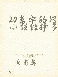 20万字的网络小说能挣多少钱封面