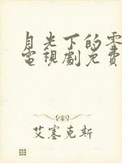 月光下的零泰剧电视剧免费观看完整版