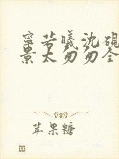 宁若曦沈砚舟盛景太匆匆全集阅读封面