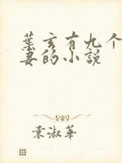 叶玄有九个未婚妻的小说