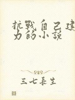 抗战自己建立势力的小说