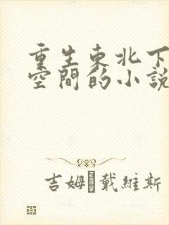 重生东北下乡带空间的小说