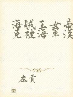 海贼王女帝汉库克被海军汉化版封面