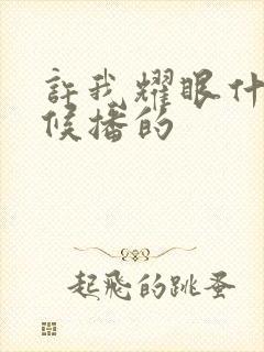 许我耀眼什么时候播的