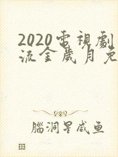 2020电视剧流金岁月免费观