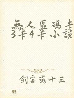 无人区码卡二卡3卡4卡小说