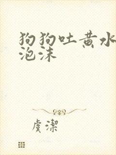 狗狗吐黄水是带泡沫