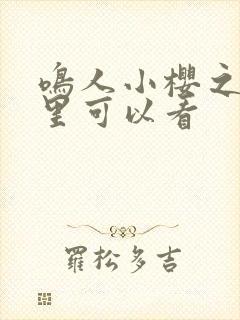 鸣人小樱之夜哪里可以看