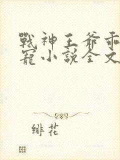 战神王爷乖乖受宠小说全文免费阅读