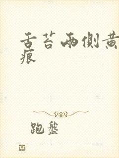 舌苔两侧黄有齿痕封面