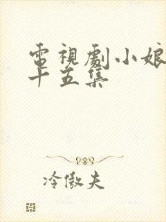 电视剧小娘惹第十五集封面