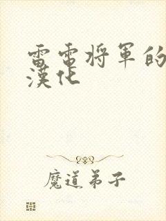 雷电将军的惩罚汉化