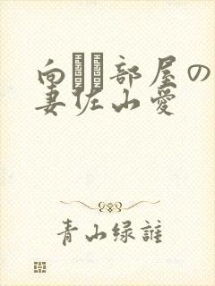 向かい部屋の人妻佐山爱封面