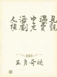 人海中遇见你电视剧免费观看全集封面