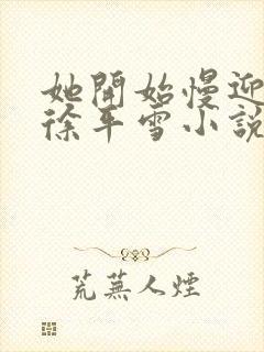 她开始慢迎迎合徐平雪小说封面