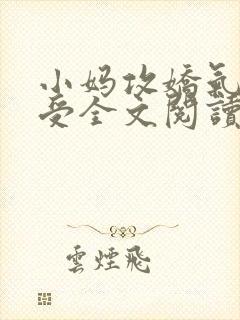 小妈攻娇气少爷受全文阅读封面