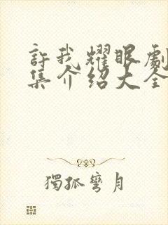 许我耀眼剧情分集介绍大全