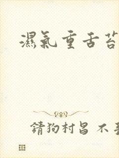 湿气重舌苔黄厚